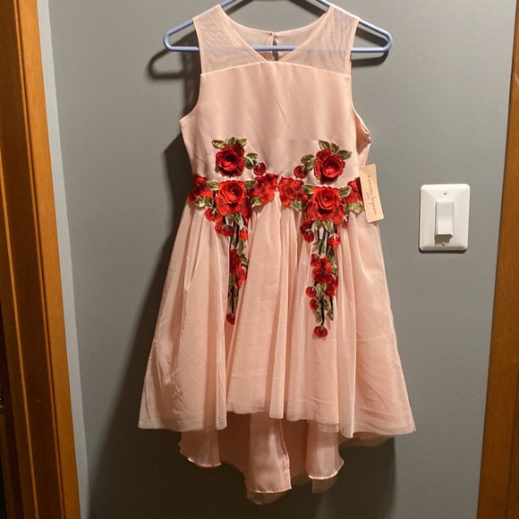 BRAND NEW GIRLS DRESS SIZE 14! NWT. SMOKE FREE HOME. - Picture 2 of 8